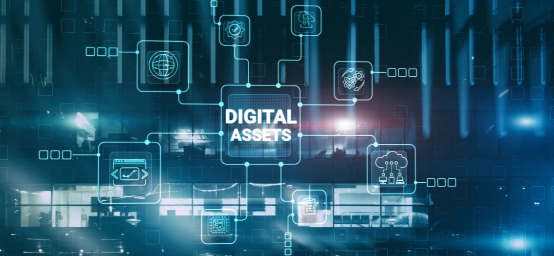 TurtleWords How-AI-is-Transforming-Digital-Asset-Management